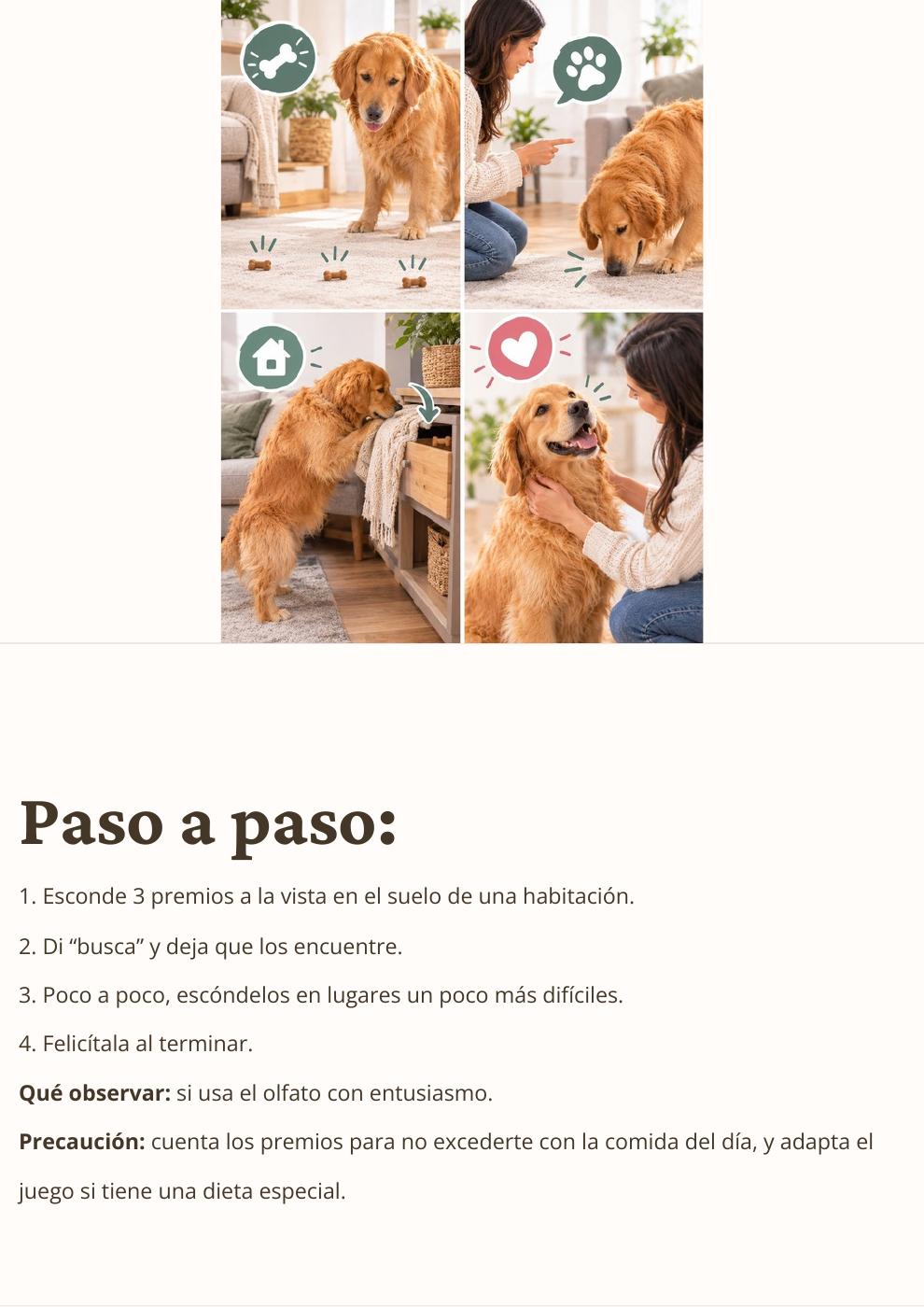 Página original 38 del ebook: El juego de buscar premios