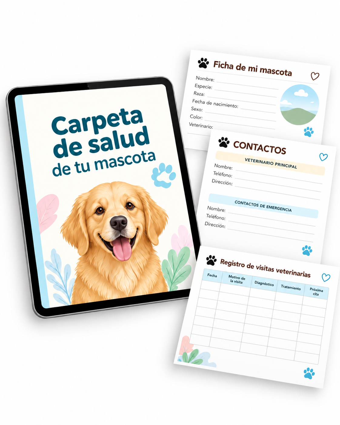 Portada Carpeta de salud